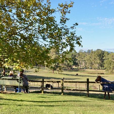 Отель The Stables Wandin North Экстерьер фото