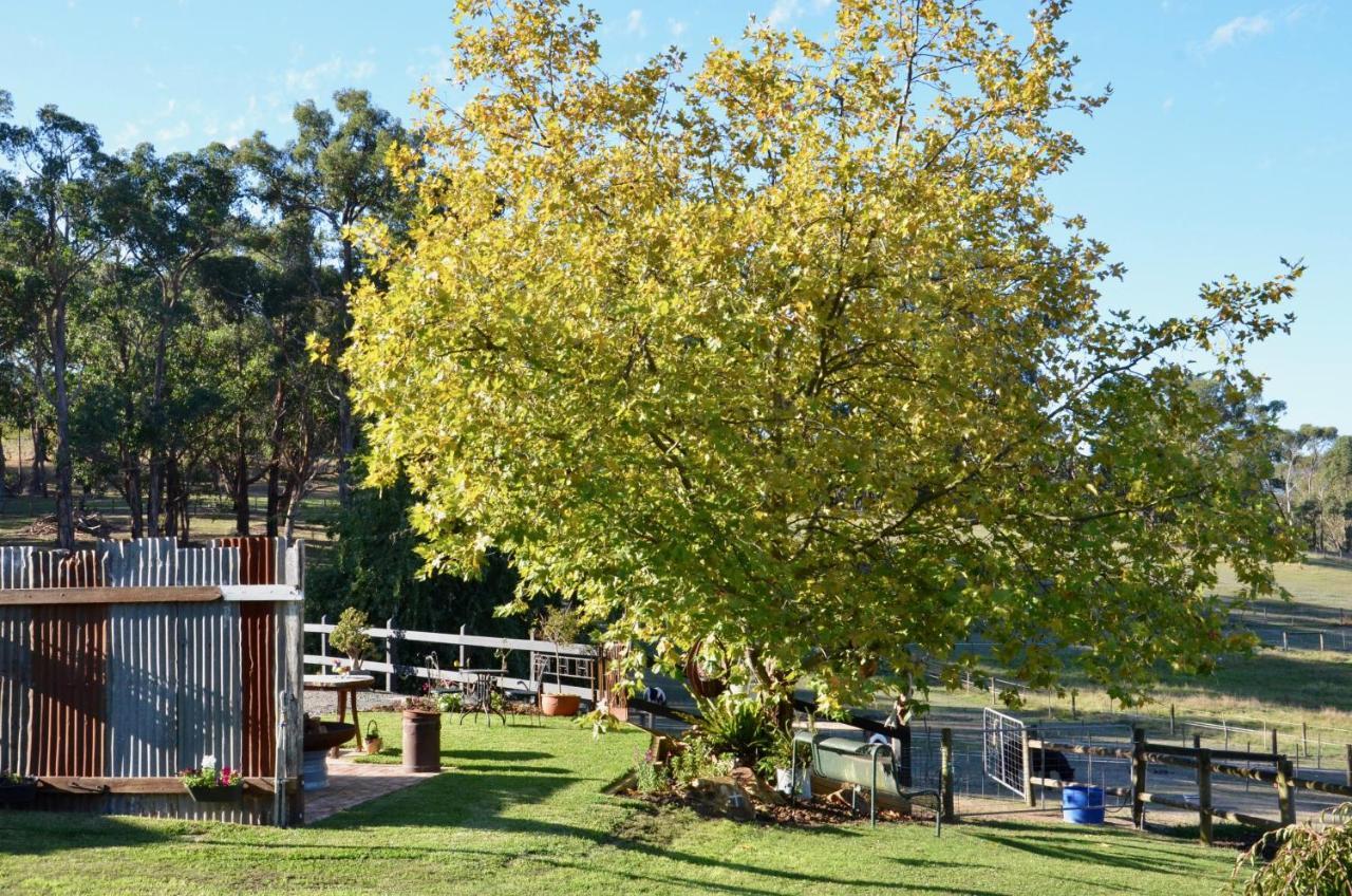 Отель The Stables Wandin North Экстерьер фото