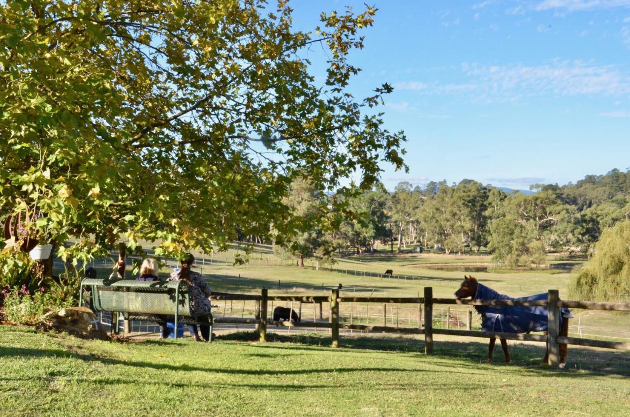 Отель The Stables Wandin North Экстерьер фото
