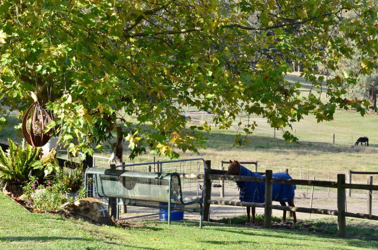 Отель The Stables Wandin North Экстерьер фото