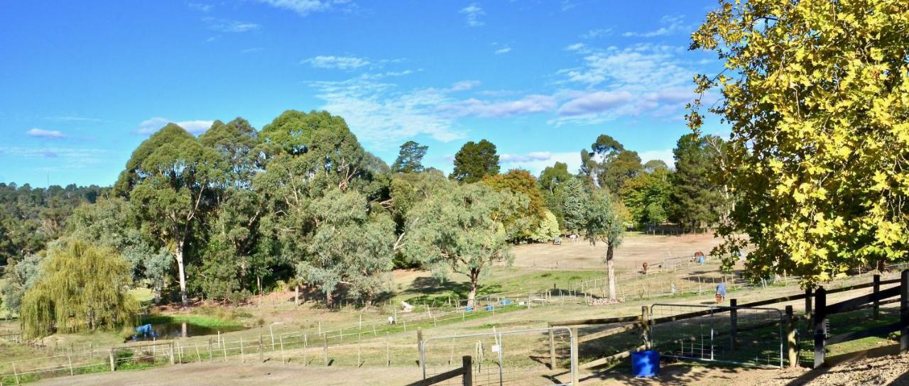 Отель The Stables Wandin North Экстерьер фото